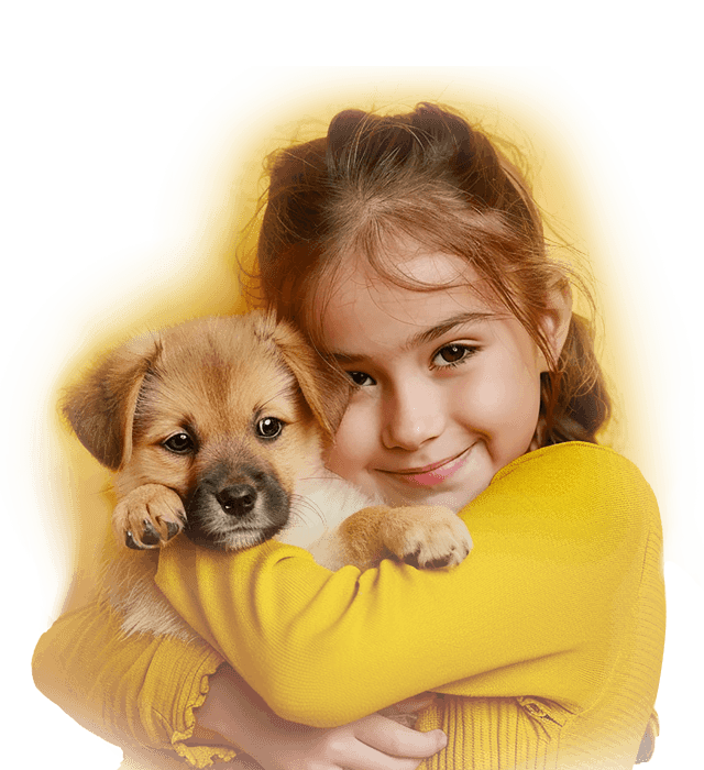 Pawpaths hero banner image