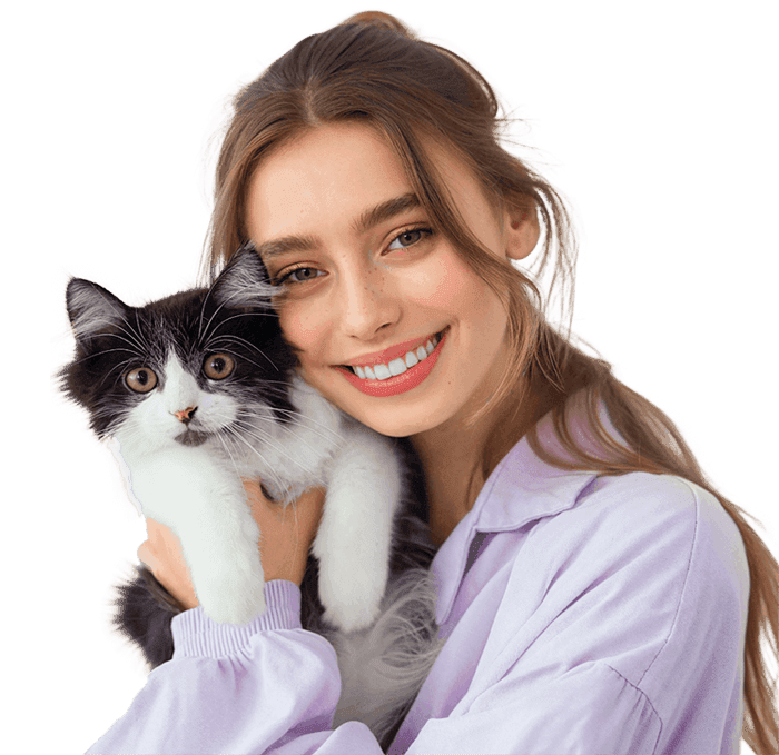 Persian cat — trusted pet relocation expert