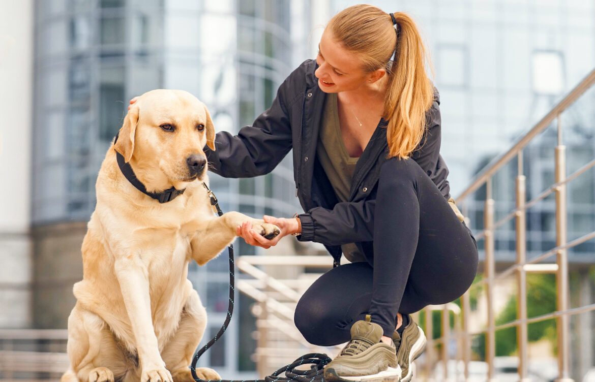 Top Pet-Friendly Neighborhoods in Dubai: A Guide for Pet Owners